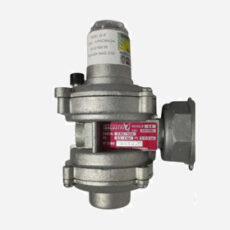 Regulador de Gas Salustri 6 metros